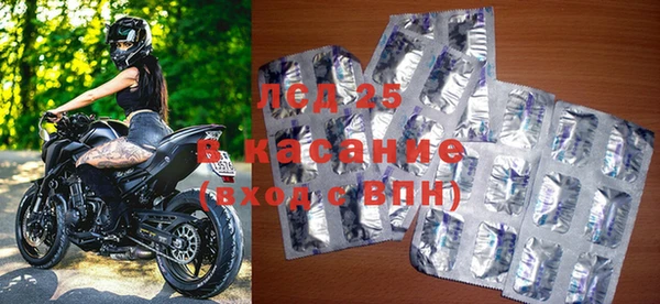 PSILOCYBIN Вяземский