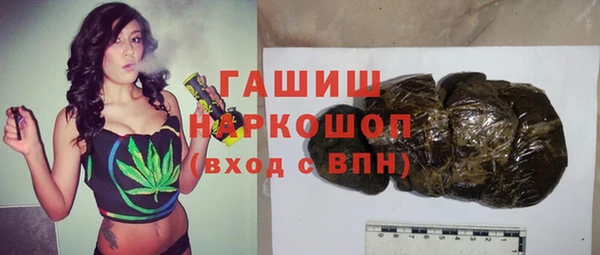 PSILOCYBIN Вяземский