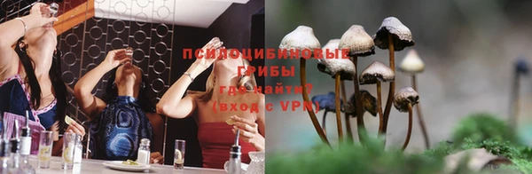 PSILOCYBIN Вяземский