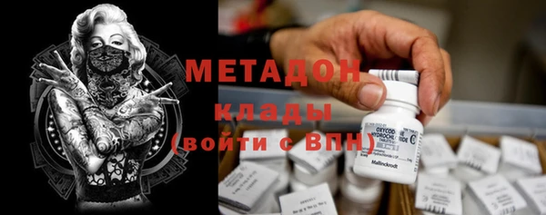 PSILOCYBIN Вяземский