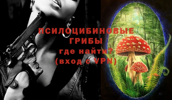 PSILOCYBIN Вяземский