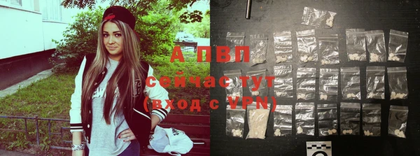 PSILOCYBIN Вяземский