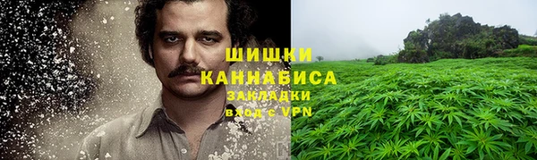 PSILOCYBIN Вяземский