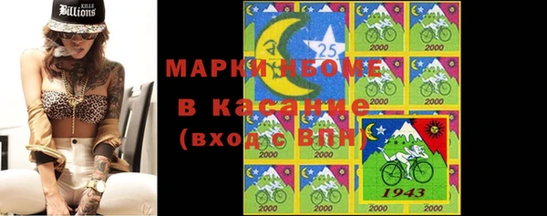 PSILOCYBIN Вяземский