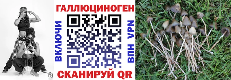 где найти   это телеграм  Псилоцибиновые грибы ЛСД  Яхрома 